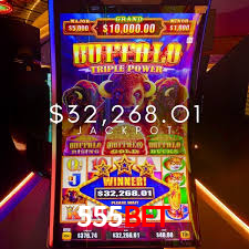 555BET